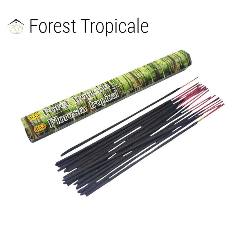 Aromatherapy Incense Stick Collection